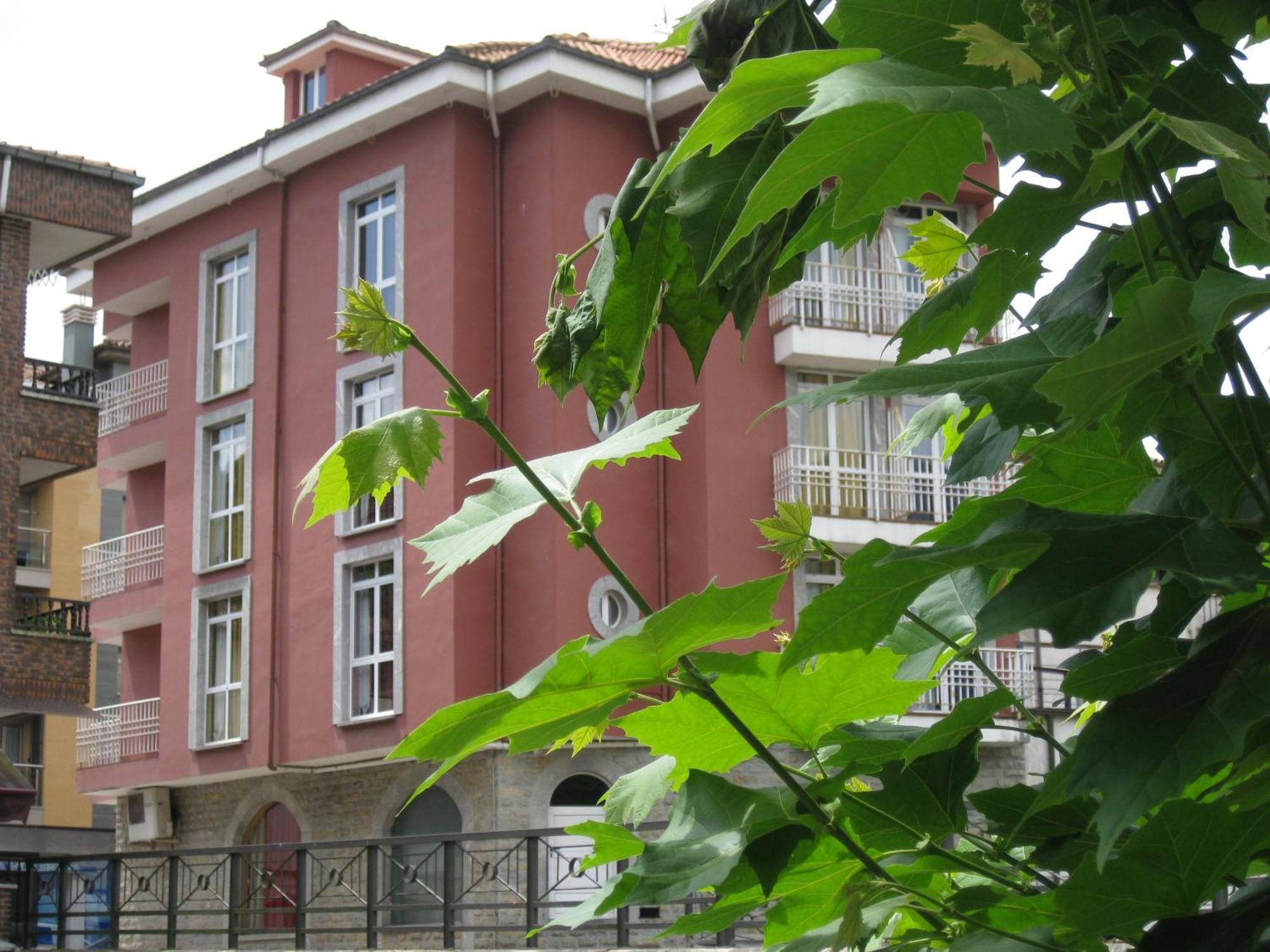 Los Acebos Cangas Onís Εξωτερικό φωτογραφία